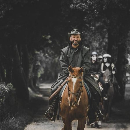 Glamping In Toscana, Luxury Tents In Agriturismo Biologico Sorano  Eksteriør billede