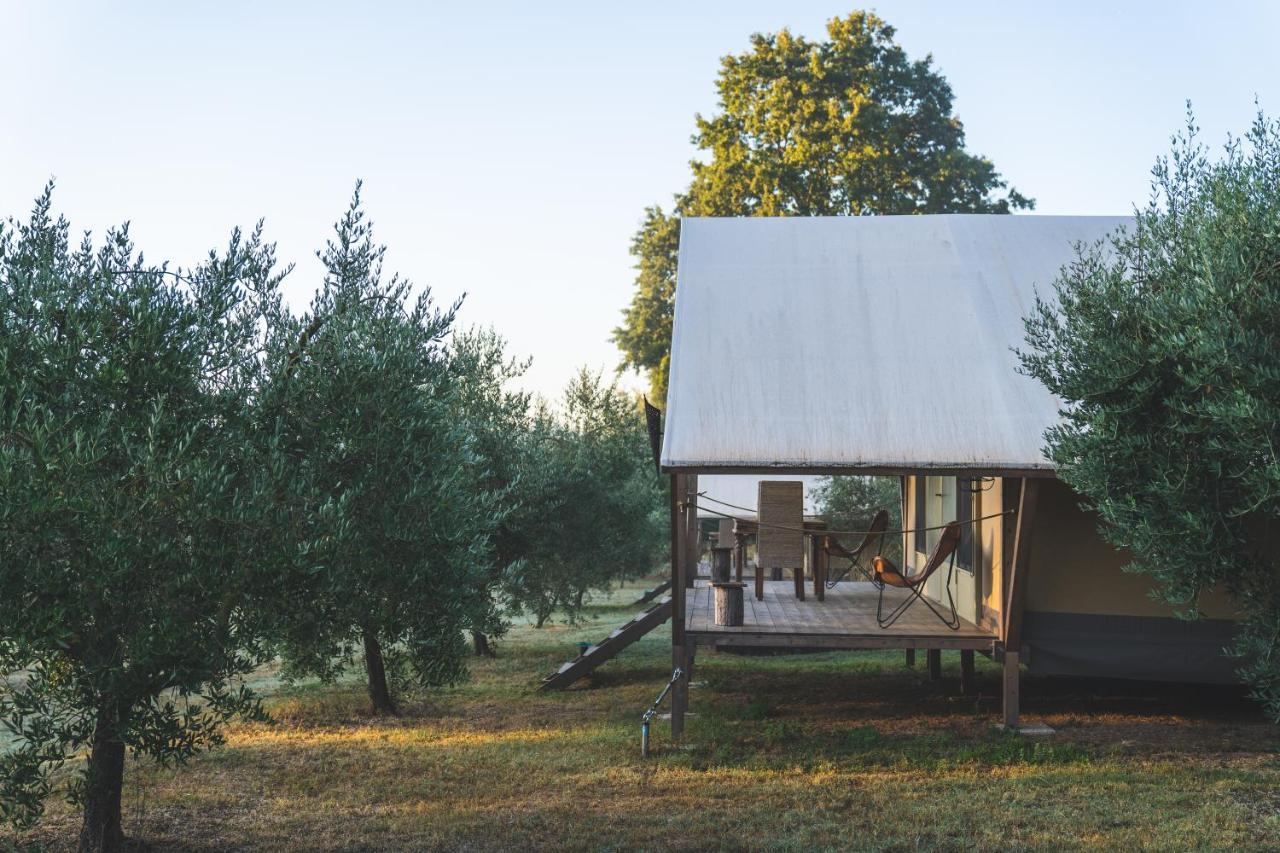 Glamping In Toscana, Luxury Tents In Agriturismo Biologico Sorano  Eksteriør billede