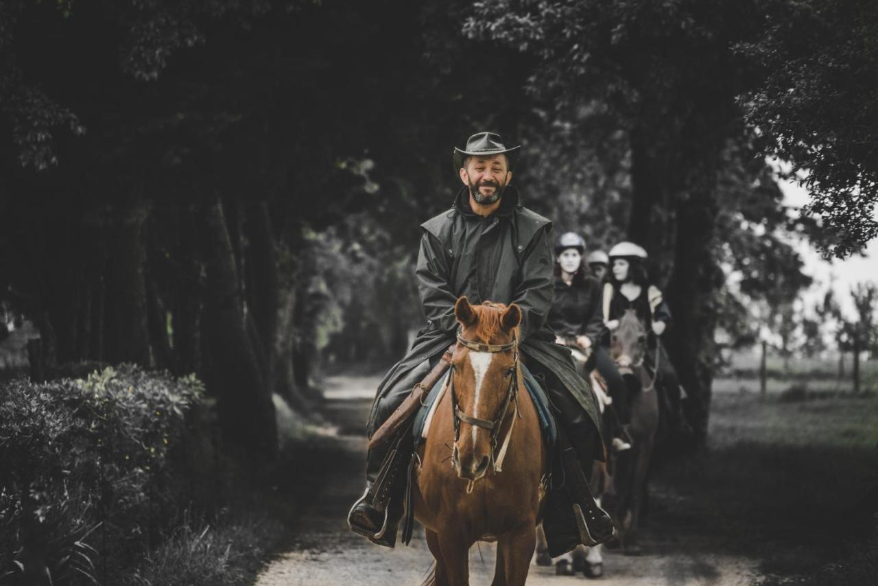 Glamping In Toscana, Luxury Tents In Agriturismo Biologico Sorano  Eksteriør billede