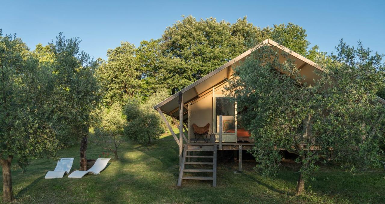 Glamping In Toscana, Luxury Tents In Agriturismo Biologico Sorano  Eksteriør billede